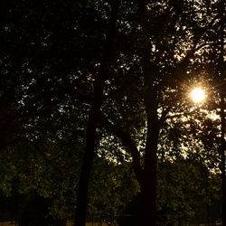 London/River Lea/DSC_0286.JPG